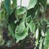 7 Tips to Protect Your Garden in a Heatwave