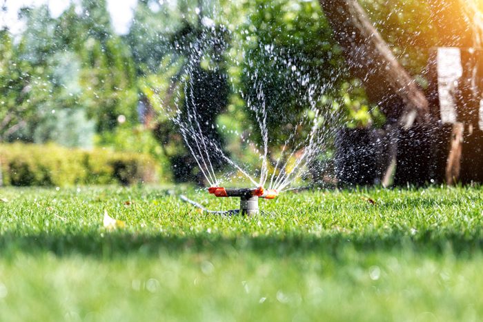 Landscape automatic garden watering system with different rotating sprinklers installed on turf. Landscape design with lawn and fruit garden irrigated with smart autonomous sprayers at sunset time