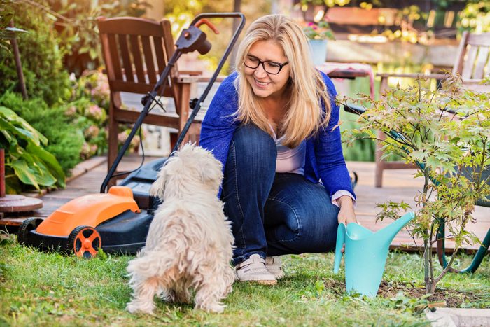 Playing With Dog While Gardening