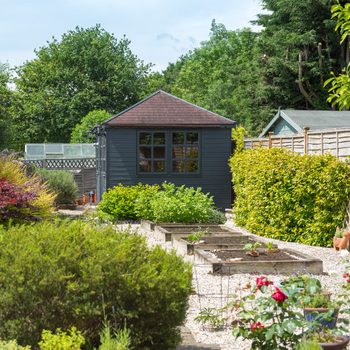 A dark garden shed stands amidst greenery, with raised garden beds in a pebbled landscape, surrounded by trees and a fenced area.