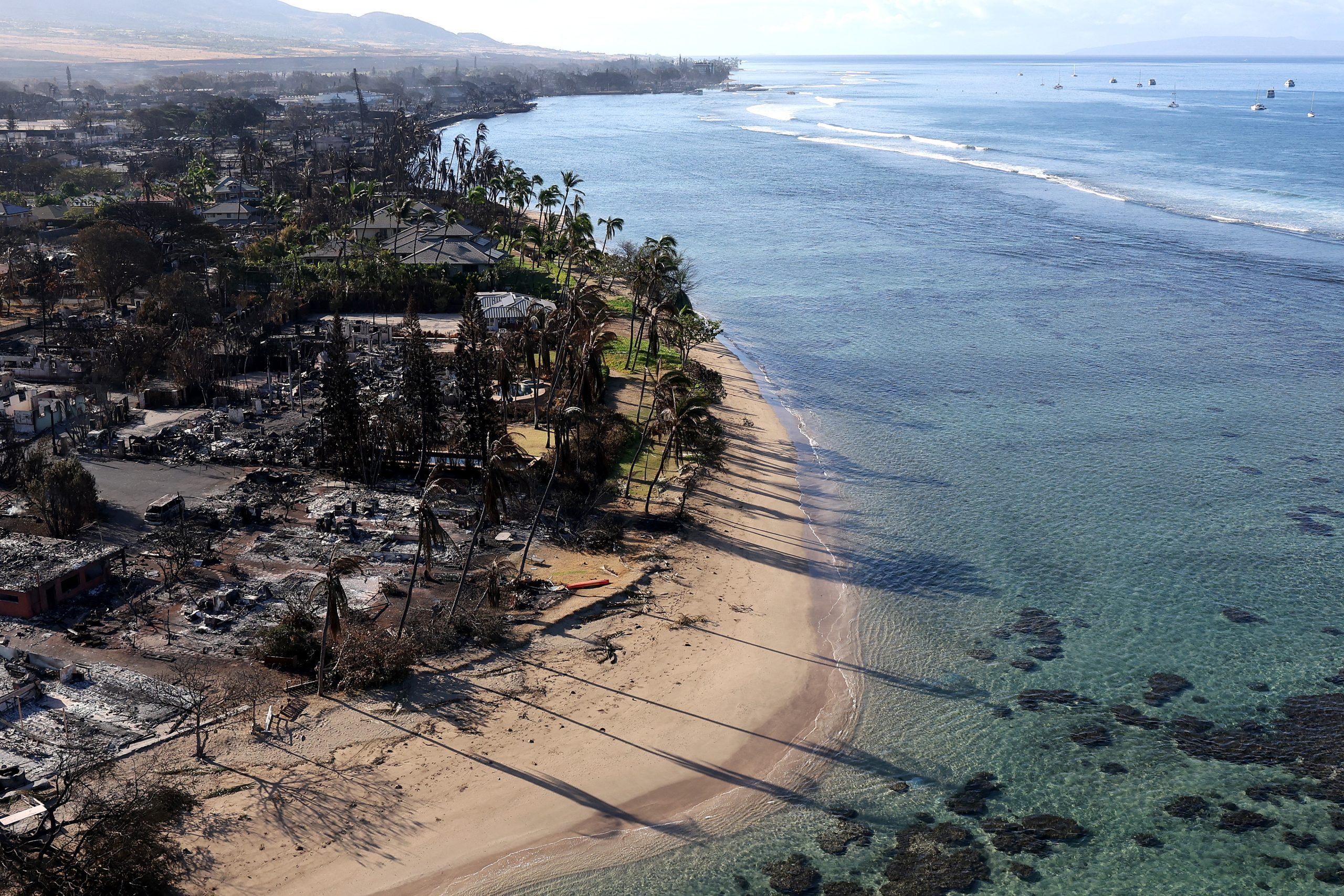 Hawaii Fires: What You Can Do to Help