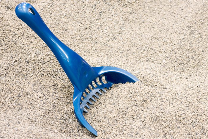 A blue scoop sits in a box of clean cat litter.