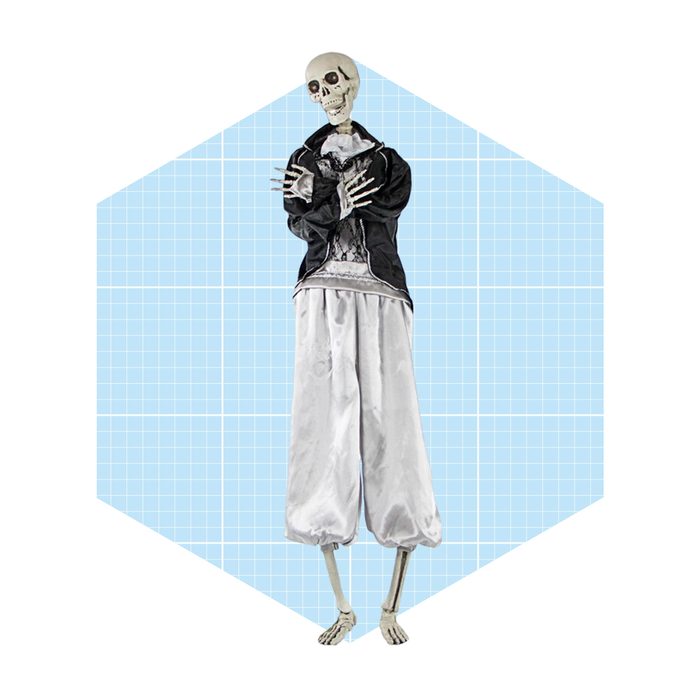 A skeleton stands with crossed arms, wearing a black jacket and white pants, set against a light blue, grid-patterned background.
