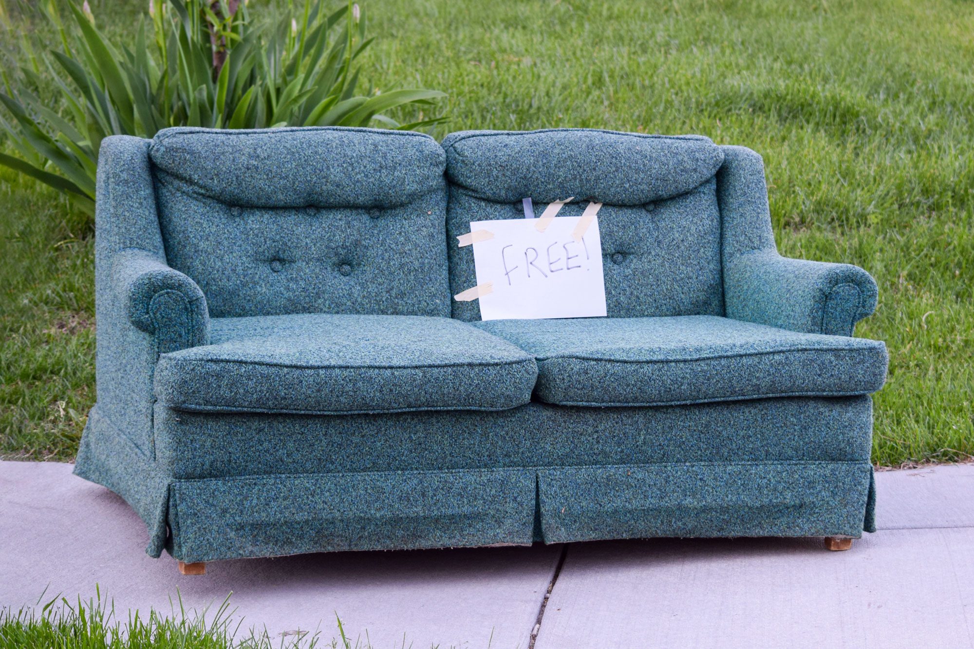 A green couch sits on a concrete surface, with a sign taped to it that reads "FREE!" Nearby, grass and plants are visible.