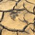 What Is an Ecological Footprint?