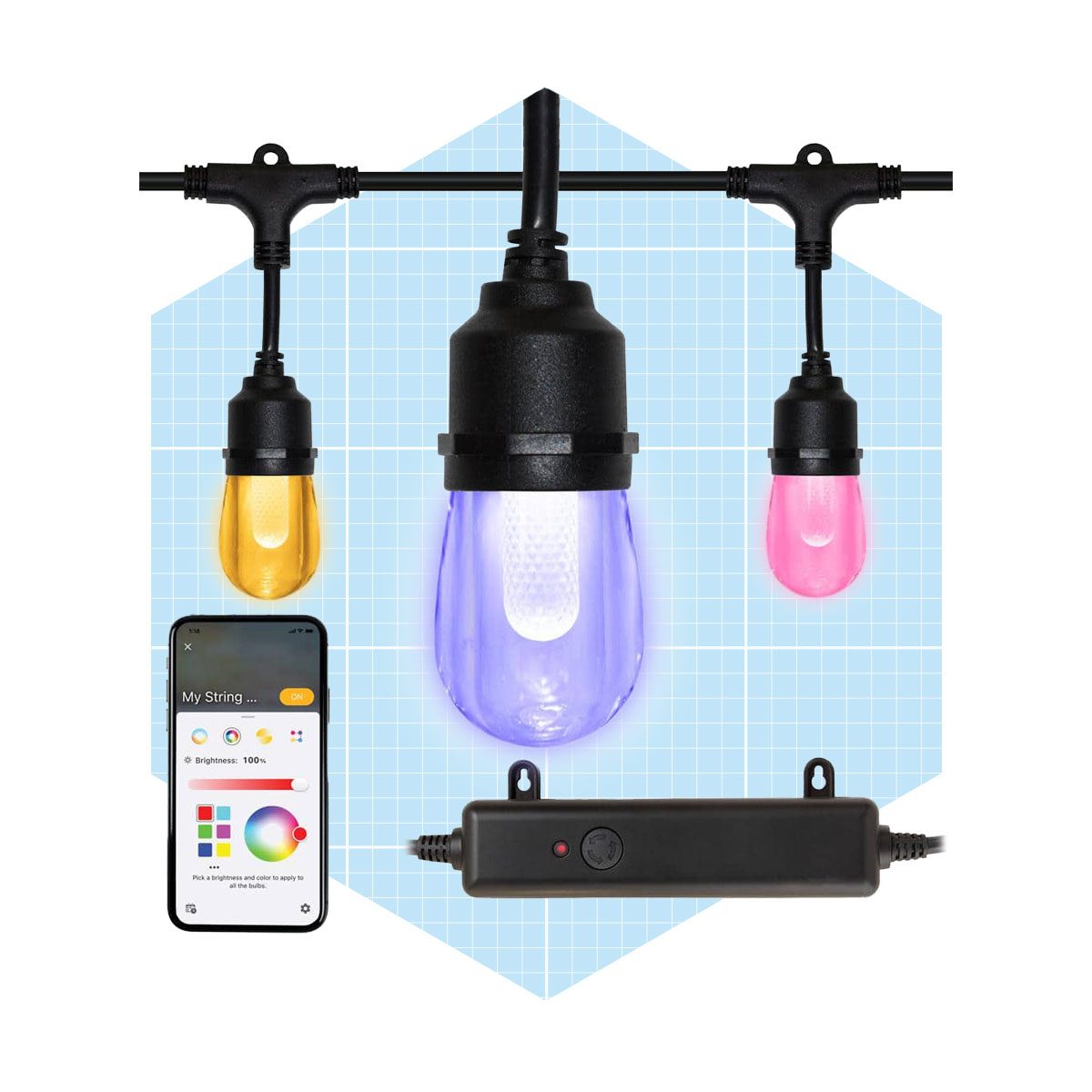 Indoor Outdoor 12 Light 24 Ft. Smart Plug In Edison Bulb Rgbw Color Changing Led String Light