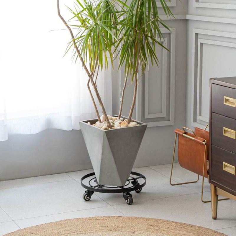 Plastic Plant Caddy Via Merchant