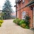 What Is the Most Sustainable Type of Groundcover?