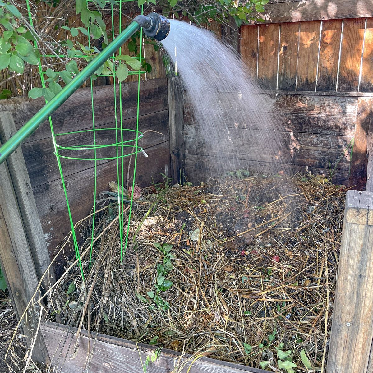 A hose sprays water onto a compost pile, surrounded by wooden boards and green plant foliage in a garden setting.