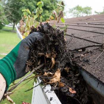 A gloved hand removes clumps of wet leaves and debris from a gutter, positioned on a roof with greenery visible in the background.