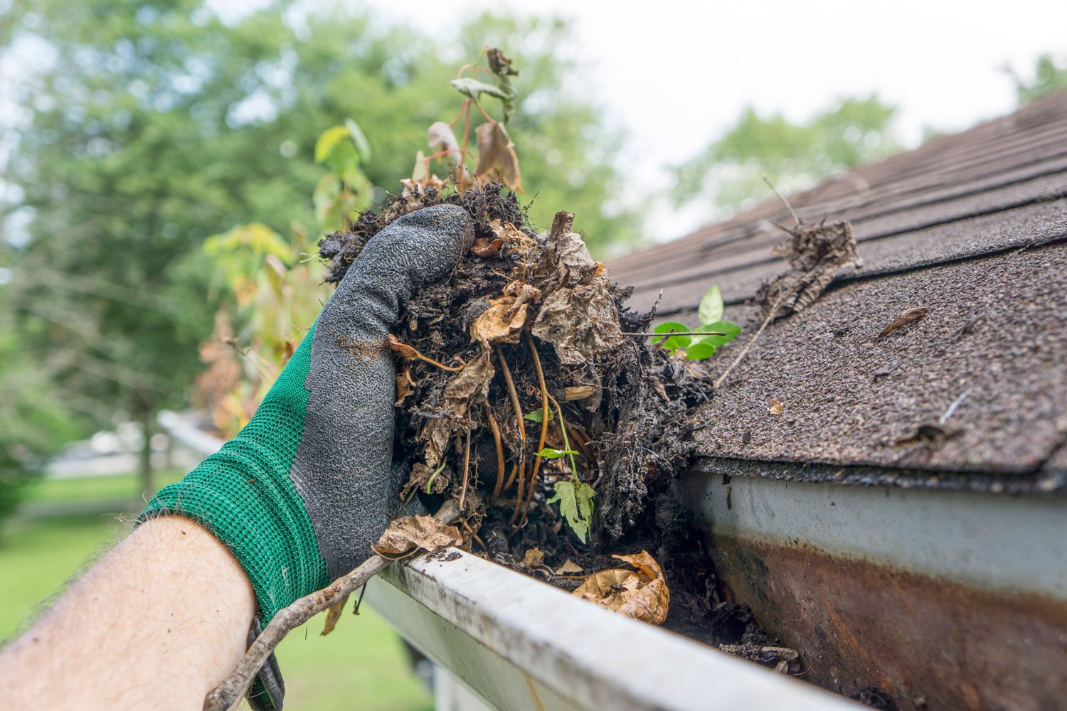 A gloved hand removes debris from a gutter, surrounded by a blurred green landscape and a shingled roof under a clear sky.