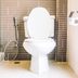 7 Toilet Flush Valve Types To Know