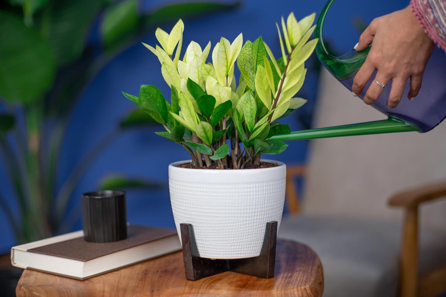 Energize Your Home With Garden Media’s Color of the Year: Cyber Lime