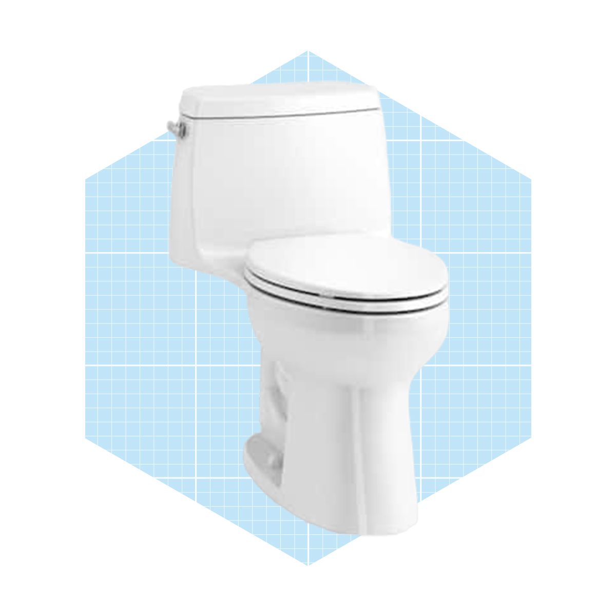 One Piece Toilet