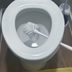 How To Clean a Toilet Brush and Holder