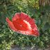 How To Make a Birdbath
