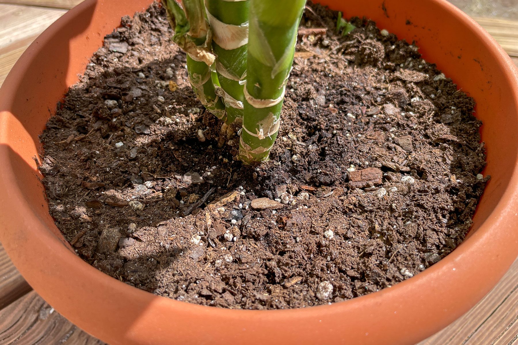 Dry Soil