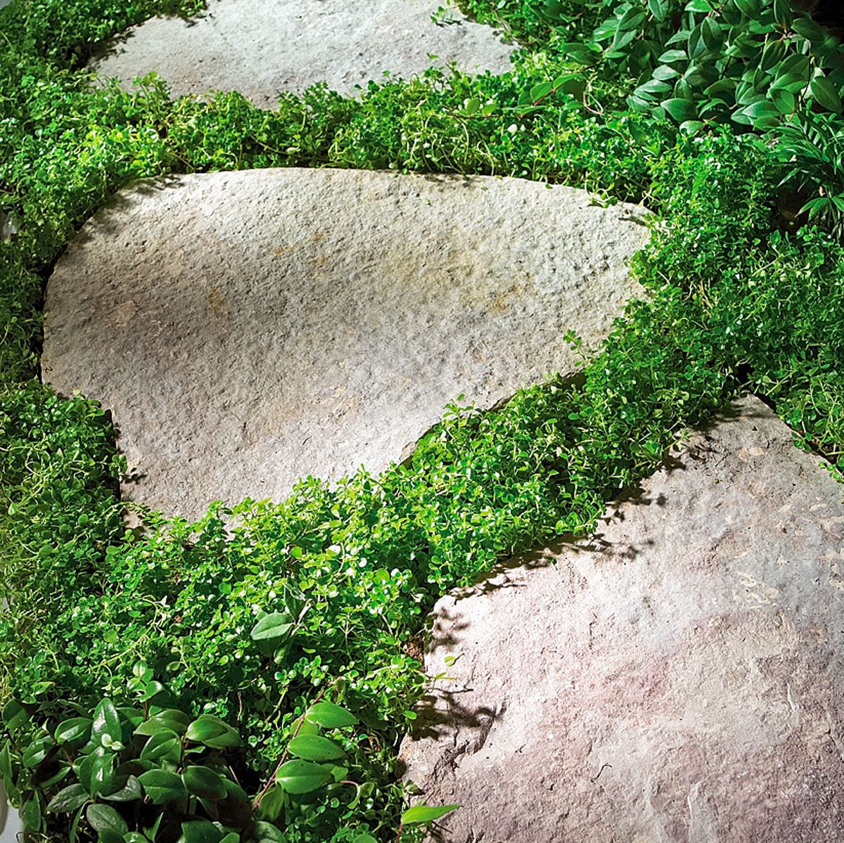 Stone Paths