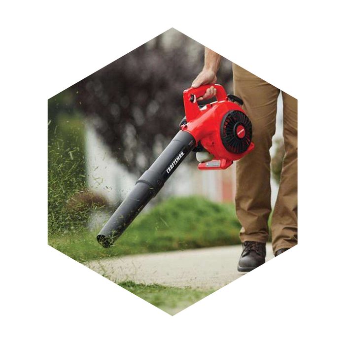 Craftsman Handheld Gas Leaf Blower