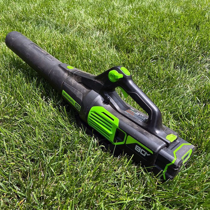 Greenworks 80v