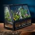 How To Make a Terrarium