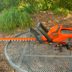 Black+Decker Hedge Trimmer Review: We Tested This High Performance Cordless Tool