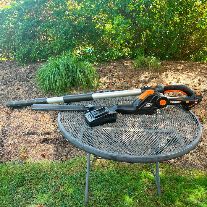 Worx Wg252 20v 20 Inch Cordless Hedge Trimmer