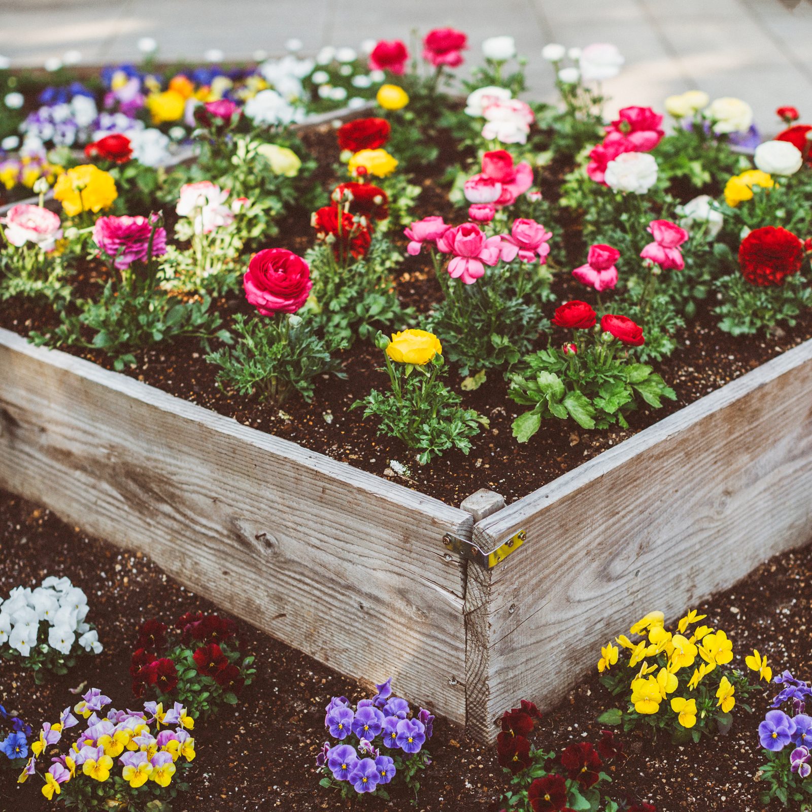 Gettyimages 1151986568 Flower Bed Ideas
