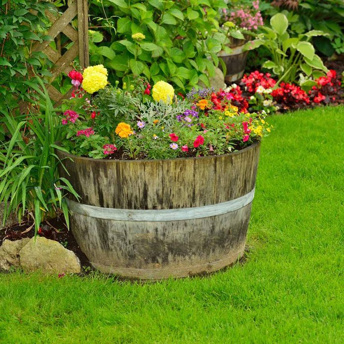 Shutterstock 162317180 Barrel