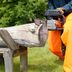 How To Use a Chainsaw Safely