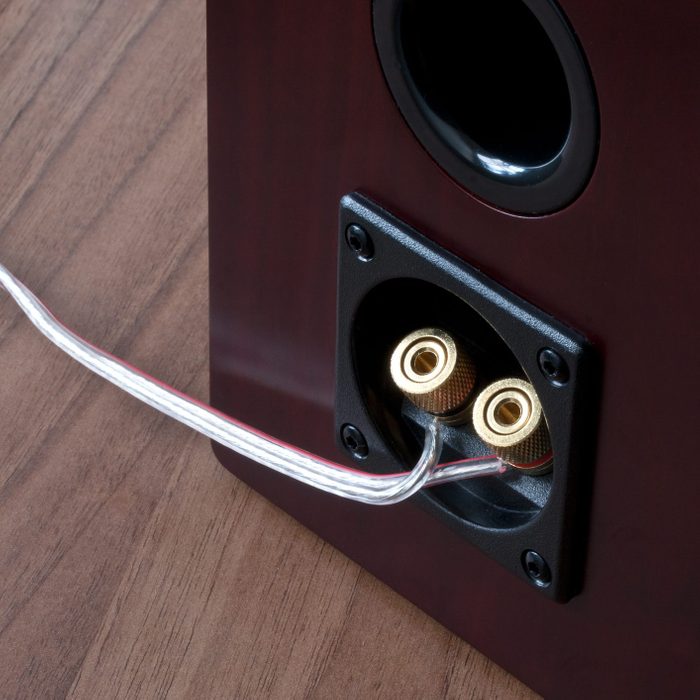 Speaker from rear