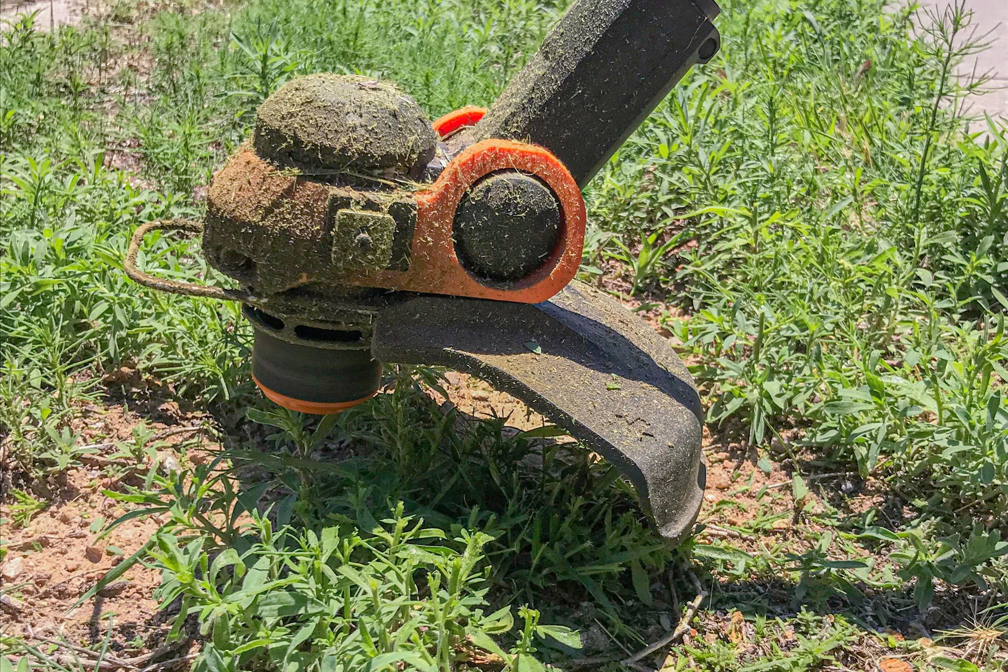 Worx Wg163 String Trimmer