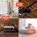 Amazon Prime Big Deal Days Is Here! Shop Our Favorite Deals on Bissell, DeWalt, Nectar and More