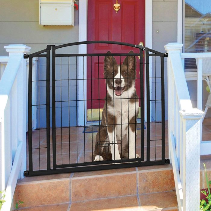 Carlson Pet Products Outdoor Walk Thru Gate With Small Pet Door