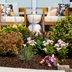 How To Create a Low-Maintenance Front Yard Landscaping Feature