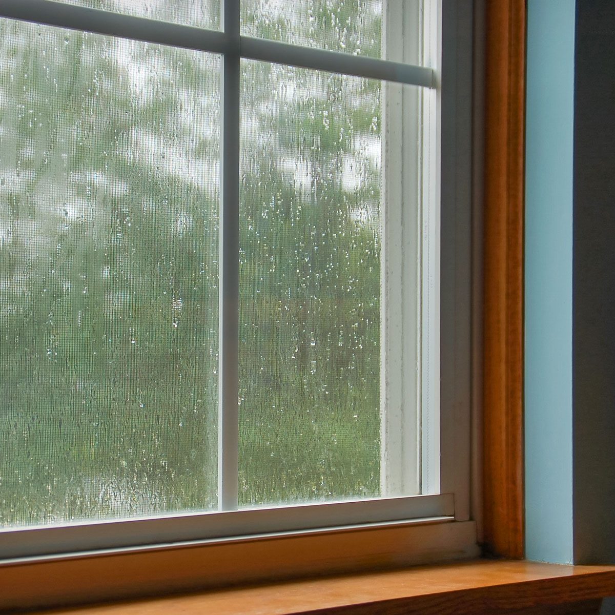 Rainy Window