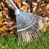 14 Useful Tools for Collecting Leaves