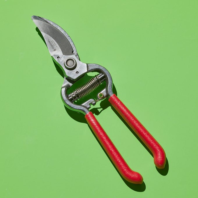 Corona Pruners Review  We Tried It And Were Not Impressed Fh Ptt Pruning Shears 100324 Ef Corona Bypass 02