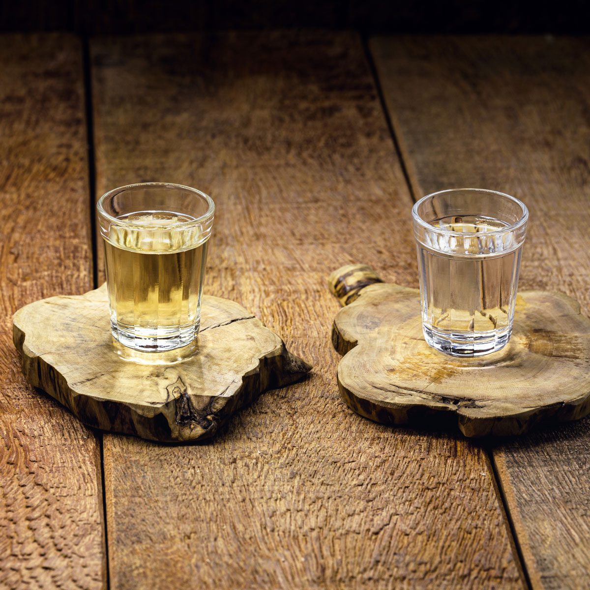 Tree Stump Coasters