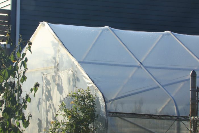 greenhouse garden