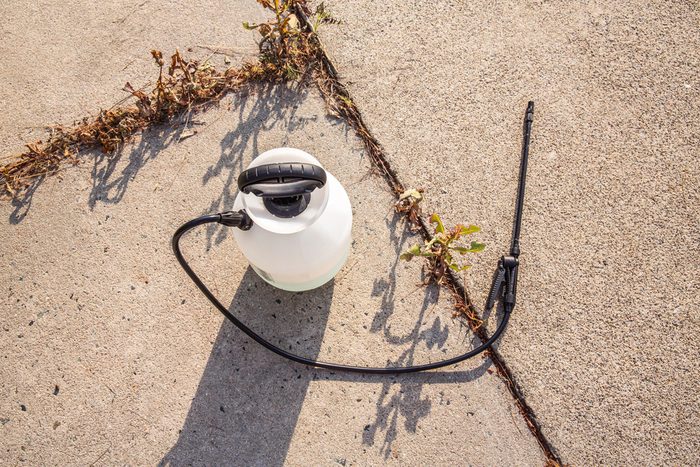 pesticide container