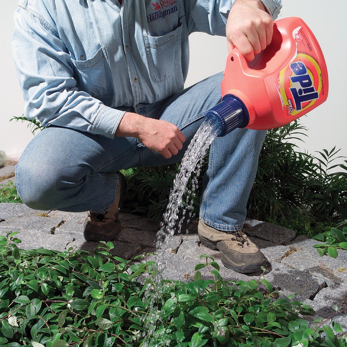 A person wearing a denim shirt and jeans kneels on a stone path, using a Tide detergent bottle as a watering can to pour water onto green plants. The bottle's cap is modified to act as a spout.