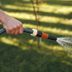 Lawn Watering Tips for Yards With Lots of Trees