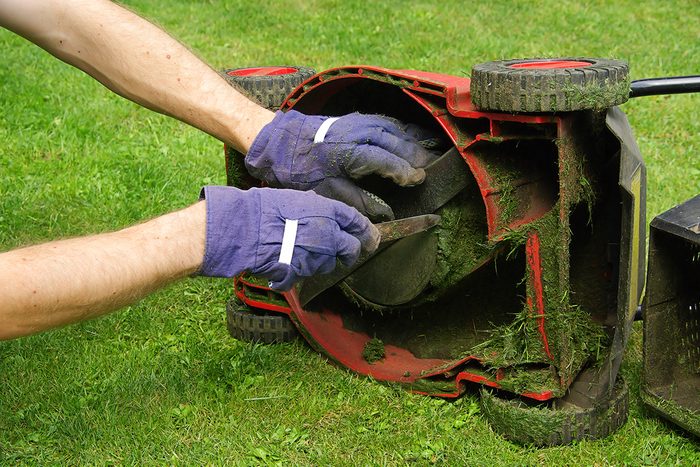 Don't Mow Wet Grass Gettyimages 126939673