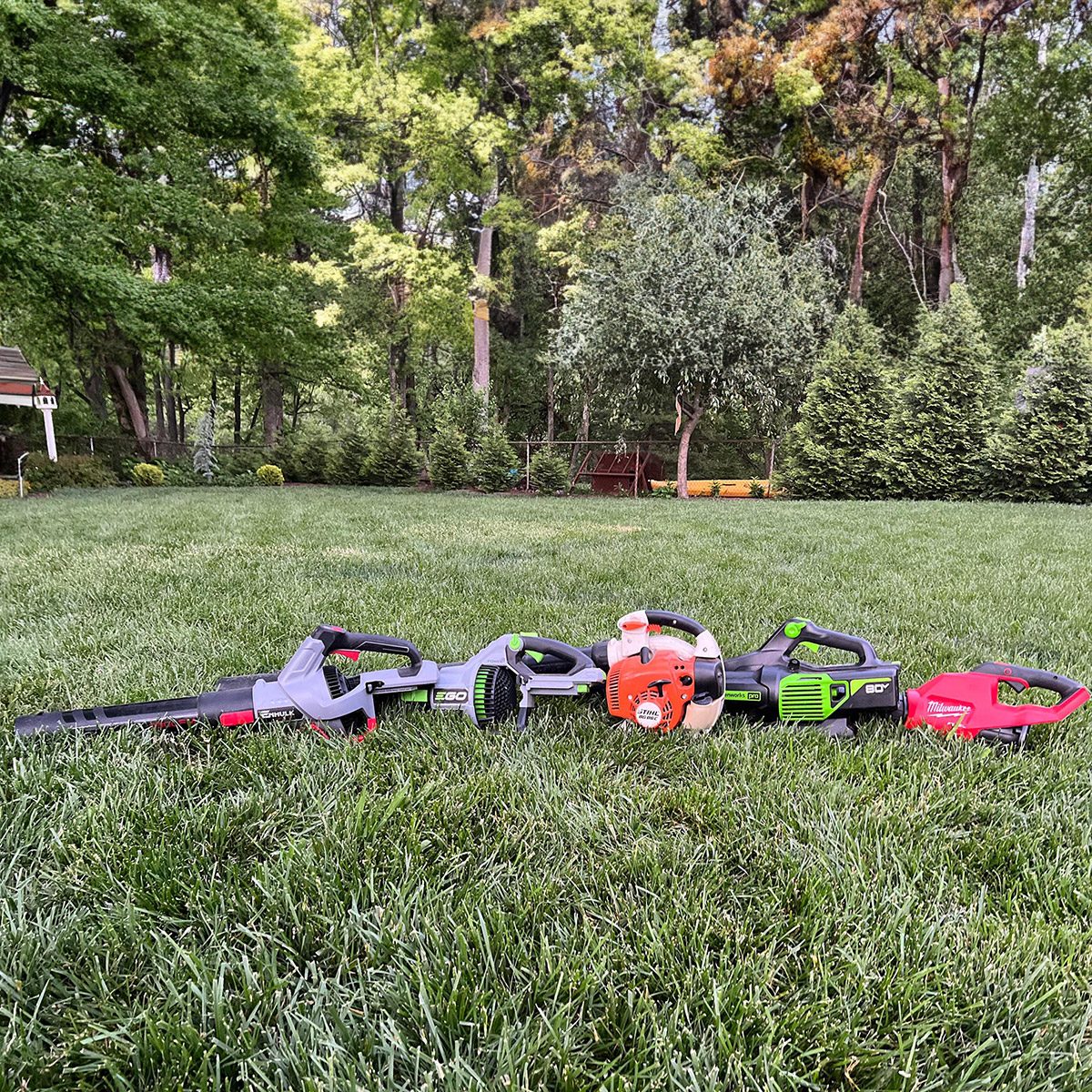 The Best Cordless Leaf Blowers, Tested By a Lawn Expert