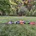 The Best Cordless Leaf Blowers, Tested By a Lawn Expert