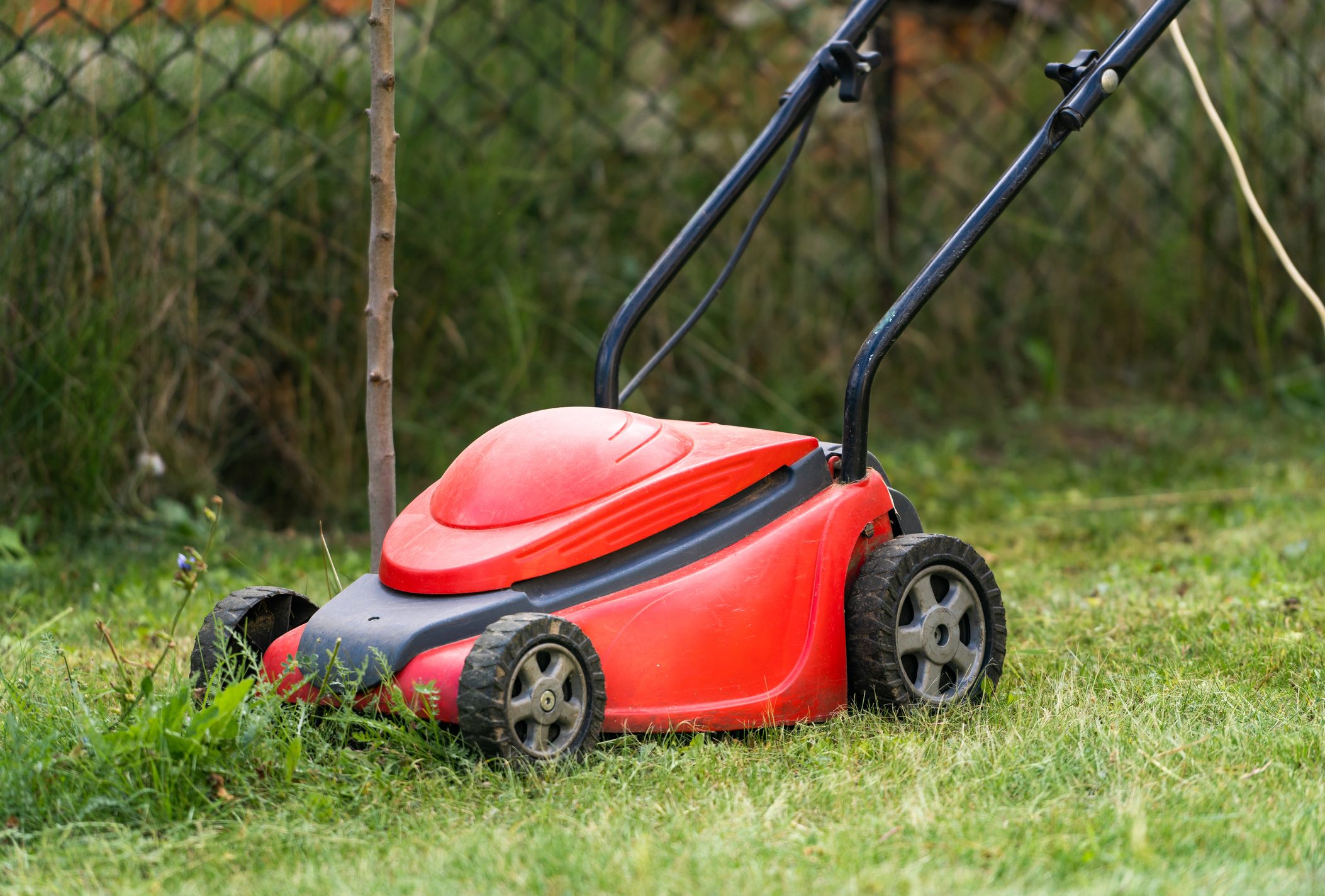 When Are You Too Old to Mow Your Own Lawn? Experts Weigh In