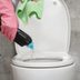 A No-Mess Solution To Toilet Plunging