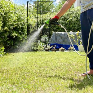 How Much To Water New Grass Seed Gettyimages 2156168040