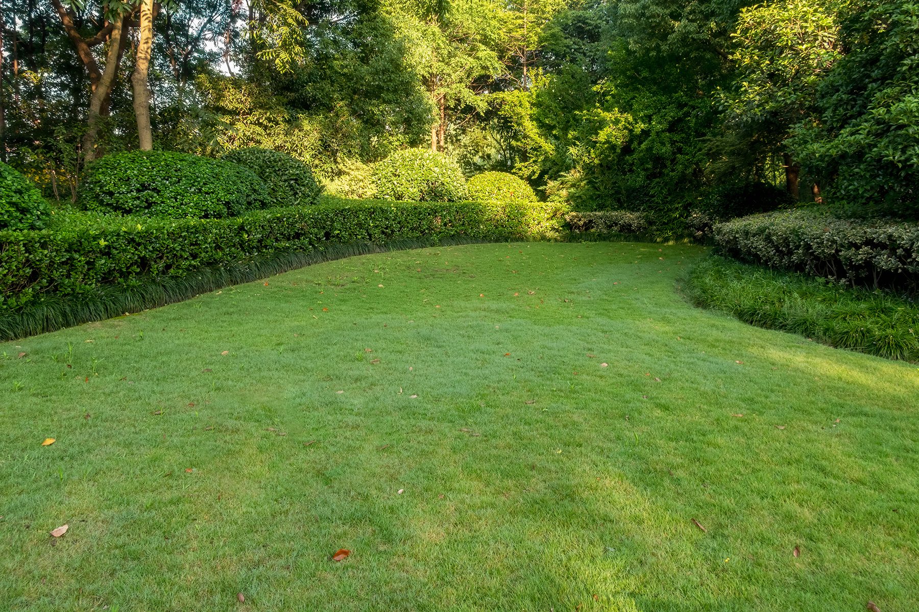 Get Rid of Lawn Weeds For Good With These 12 Tips